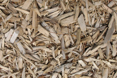 biomass boilers Durleigh